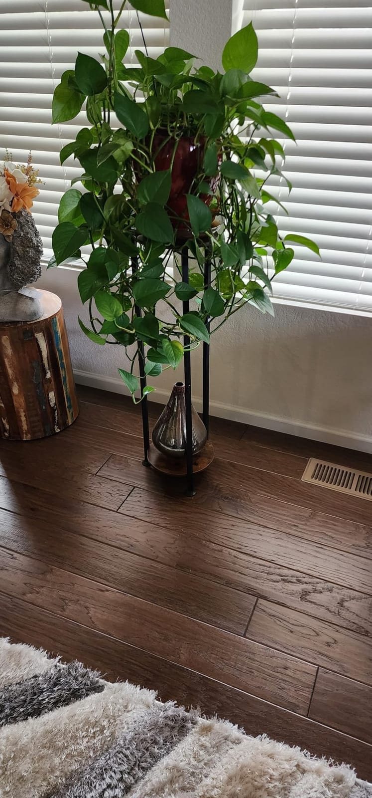 Plant Stand Indoor Corner Tall 2 Tier Metal Modern Flower Storage Plant Shelf Holder for Living Room Balcony Garden,Black (2 Tier-Black Round) customer photo 1