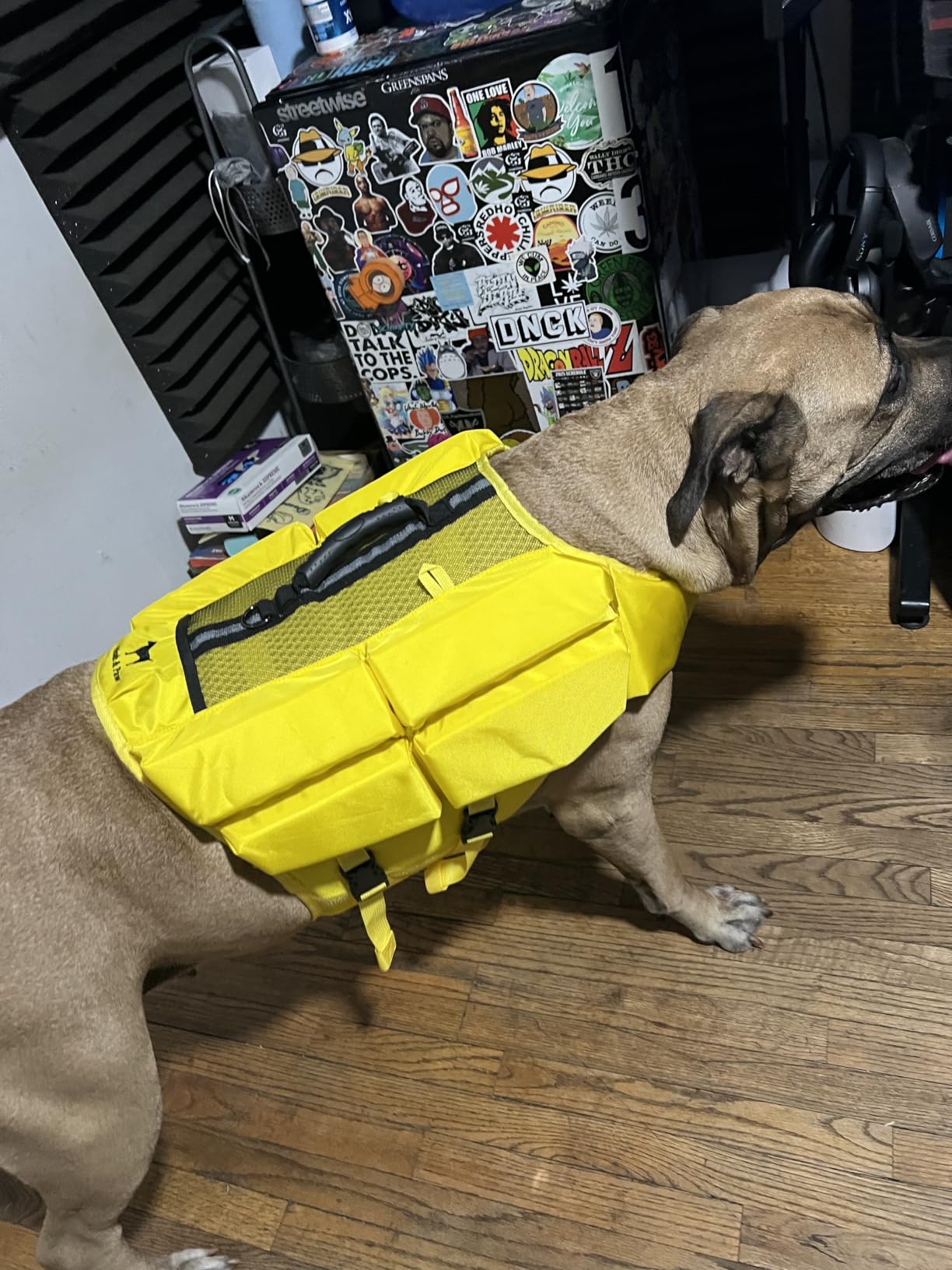 NOAH & PAW Dog Life Jacket, Human Standards Lifejacket Design, Dog Life Vest for Swimming and Boating, 3X Foam Support for Max Floating, Breathable Mesh, Salvavidas para Perros, Size L customer photo 1