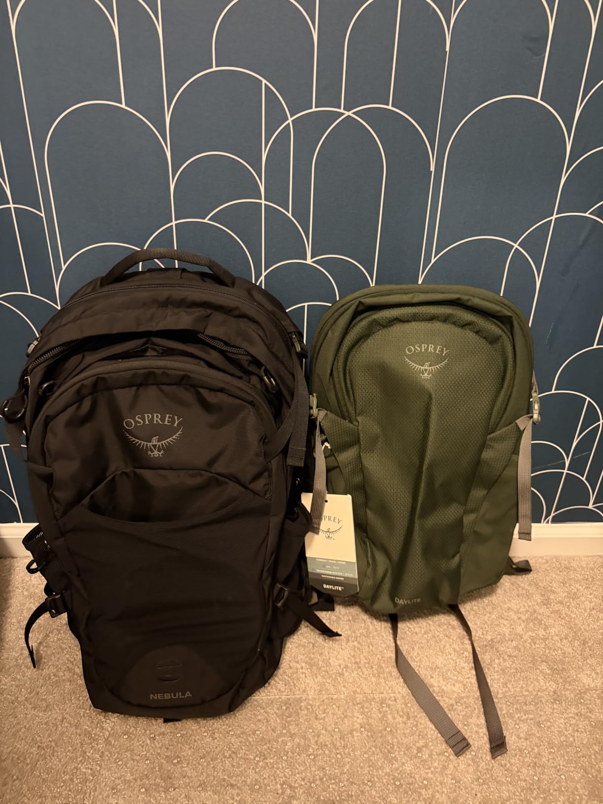 Osprey Daylite Commuter Backpack, Moody Burgundy customer photo 2