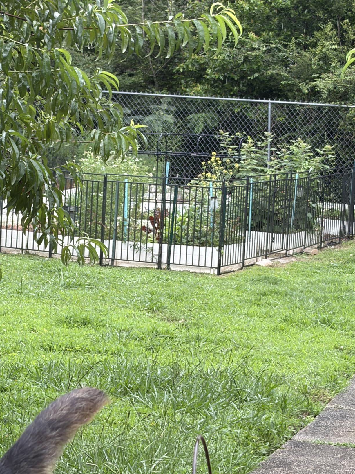 Thickened Outdoor Dog Fence, 40