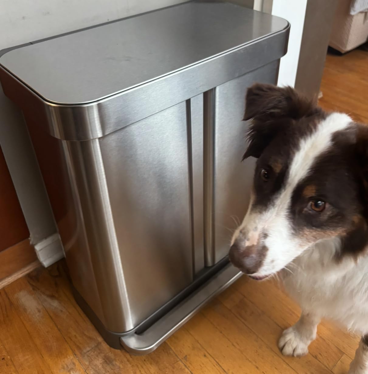 simplehuman Step Recycler, 58L / 15.3 Gallon Dual Compartment Kitchen Trash Can, 150,000-Step Steel Pedal, Lid Shox Silent Close, Liner Rim System, Liner Pocket, Brushed Stainless Steel customer photo 2