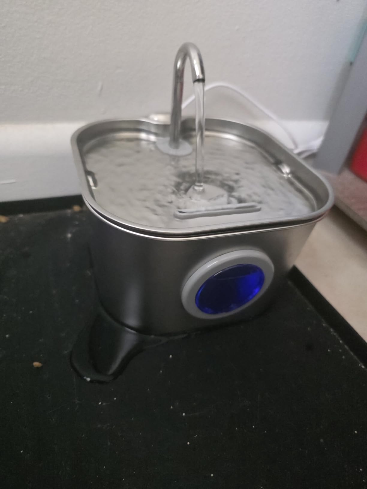 Cat Water Fountain Stainless Steel: Pet Fountains for Cats/Dog Indoor Automatic Waterer Bowls for Drinking Small Animal Water Dispenser Metal Pets Watering Faucet Bottle Auto Kitty Watering Supplies customer photo 1