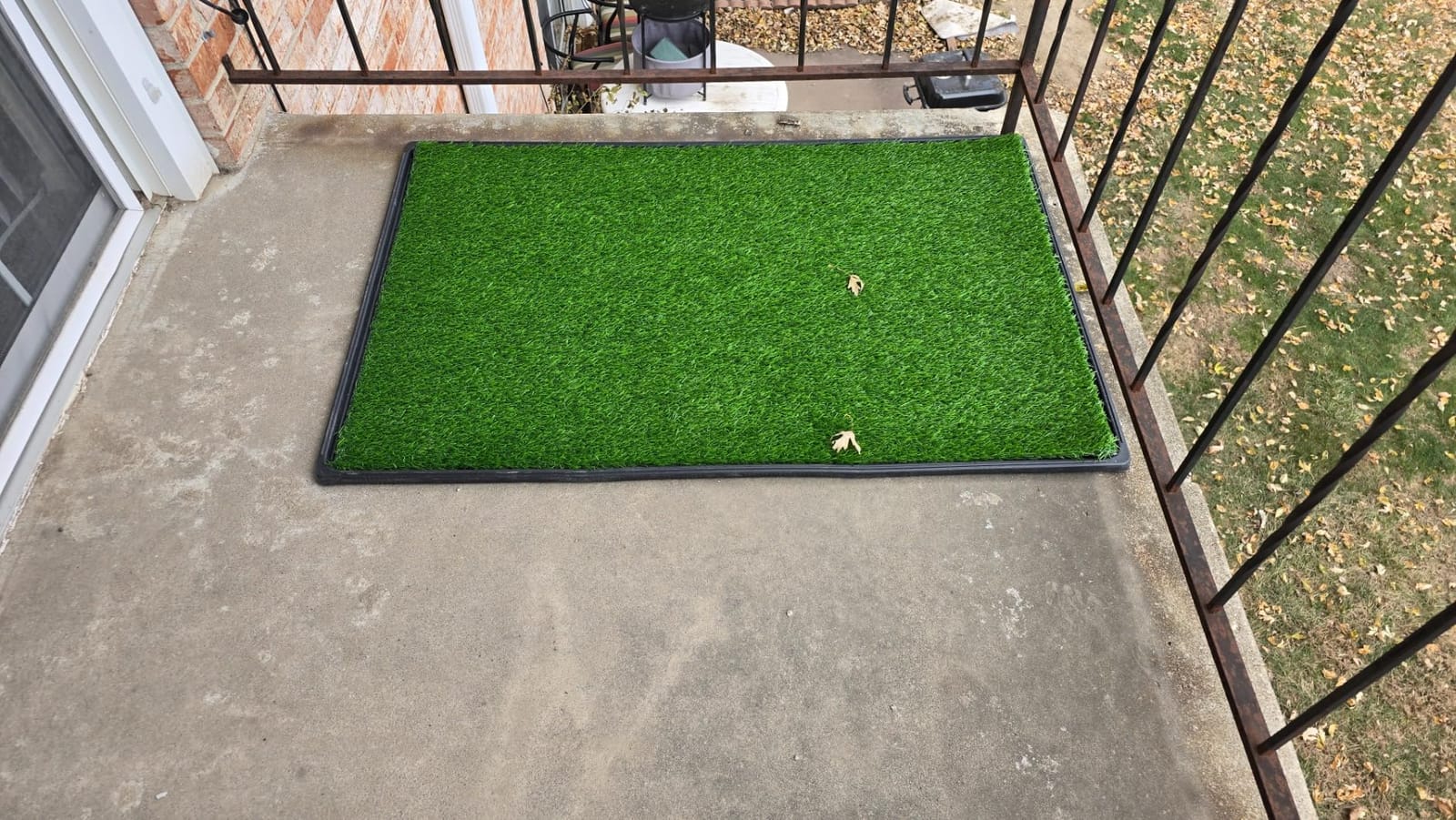 LOOBANI Large Dog Grass Pad with Tray - 35x23in for Balcony Apartment | Dog Potty with 2 Artificial Grass & 2 Washable Pee Pads for Replacement, Quick-Absorbency, Easy to Clean, Indoor/Outdoor Use customer photo 2