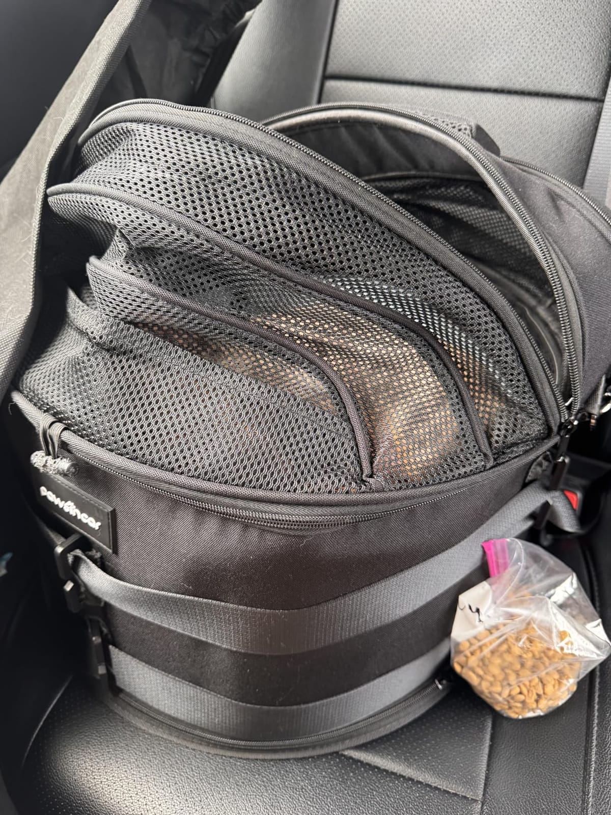 Crash-Tested Small Dog Car Seat | CPS Certified Crash Protection | 3-in-1 Portable Dog Car Seat, Indoor Enclosed Cat Bed & Round Pet Carrier | 5 Star Crash-Tested & Rated for Safe Car Travel customer photo 1