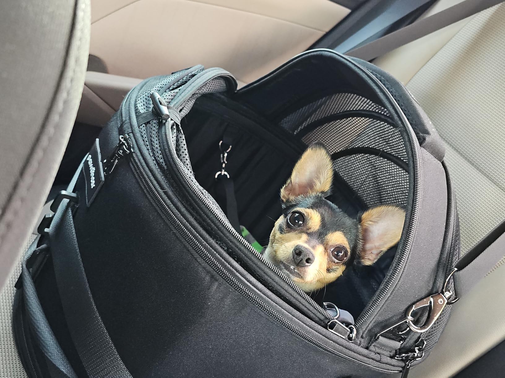 Crash-Tested Small Dog Car Seat | CPS Certified Crash Protection | 3-in-1 Portable Dog Car Seat, Indoor Enclosed Cat Bed & Round Pet Carrier | 5 Star Crash-Tested & Rated for Safe Car Travel customer photo 2