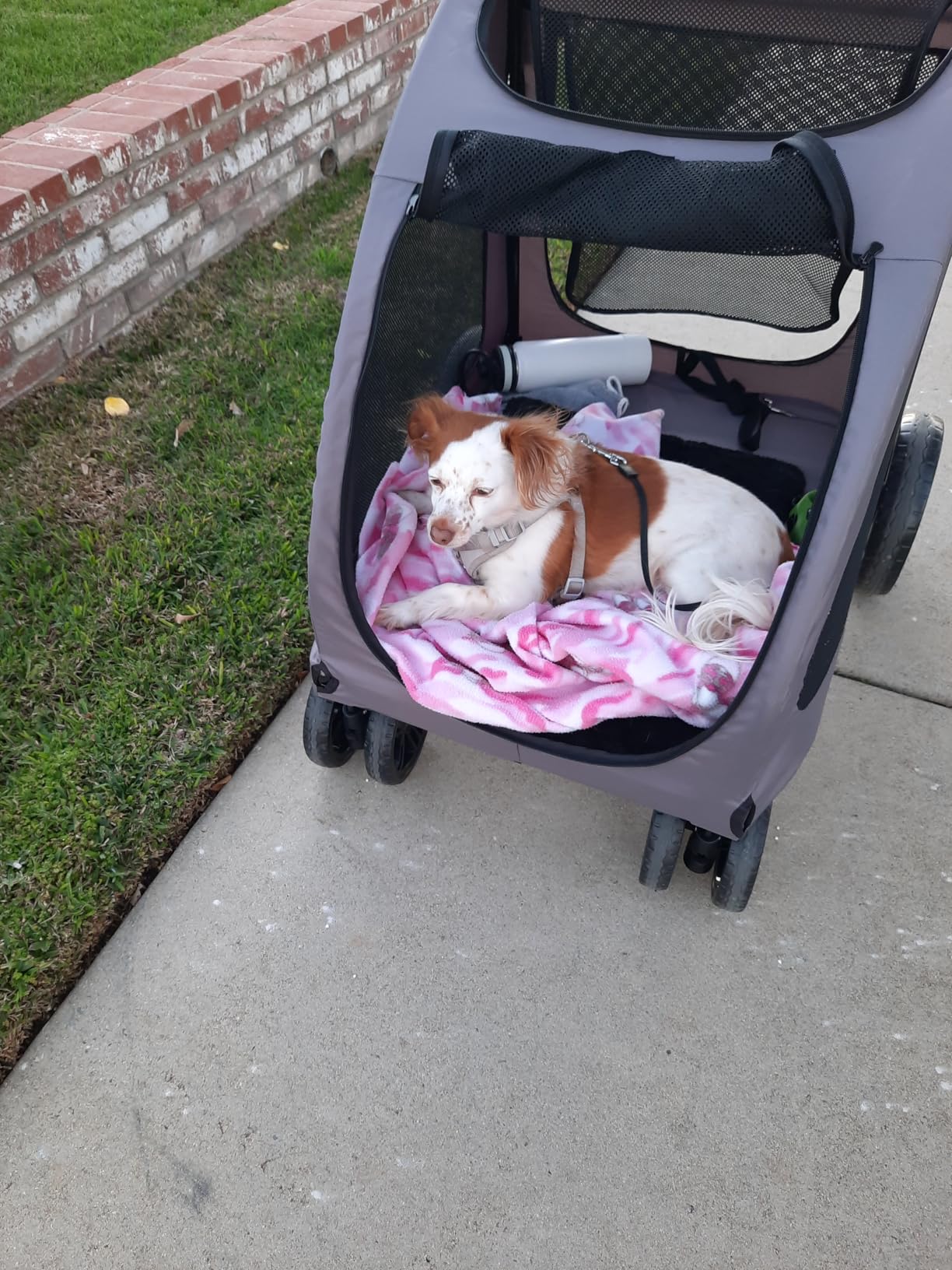 VEVOR Pet Stroller, 4 Wheels Dog Carrier with Brakes, 160lbs Weight Capacity, Portable Puppy Travel Strollers with Breathable Mesh Windows & Height-Adjustable, for Cats & Dogs customer photo 1