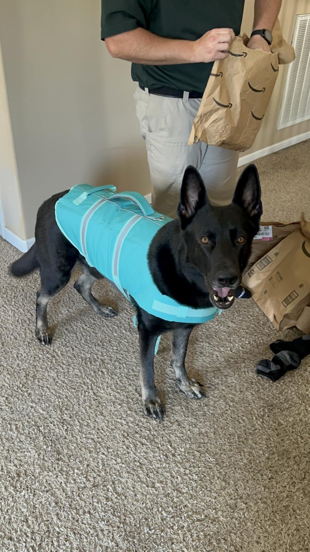 EMUST Dog Life Jacket, High Visibility Dog Life Vests with 2 Rescue Handles | Reflective Medium Large Dog Vests Lifesaver with Leash Ring, Dog Floats for Pool, Kayaking, Swimming, OrangeBone, XL customer photo 1