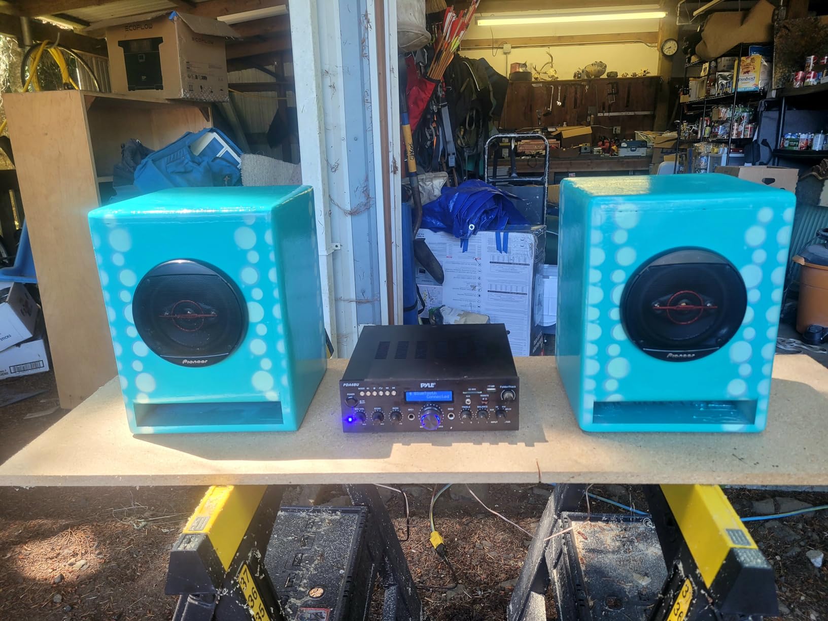 Pioneer TS-501M 5.25