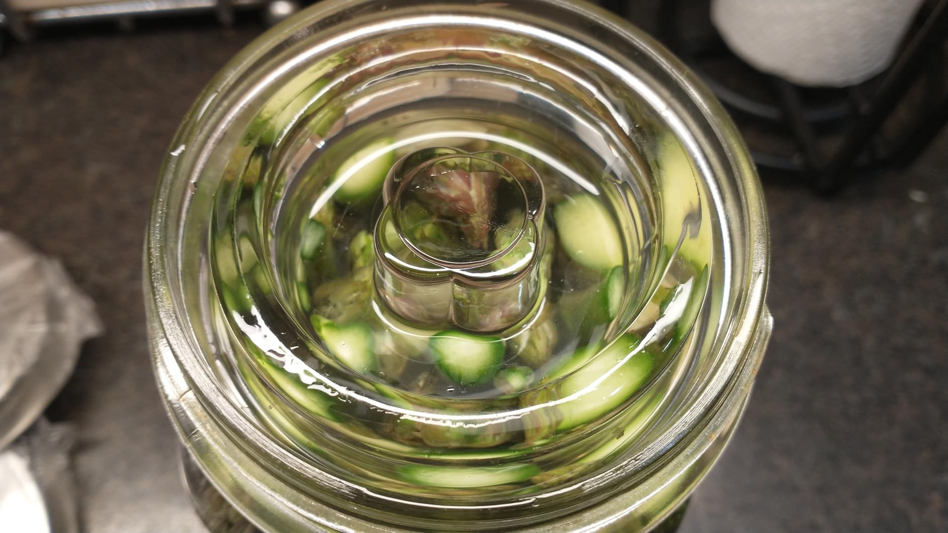 Fermentation Kit for Wide Mouth Mason fermentation Jar for Pickling & More | Sauerkraut Kit with 4 Glass Fermentation Weights, 4 Fermenting Lids, 4 Airlocks, 5 Silicone Rings, 5 Silicone Grommet (No Jars) customer photo 1