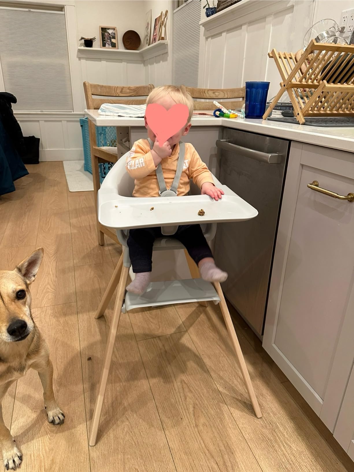 Stokke Clikk High Chair, Glacier Green - All-in-One High Chair with Tray + Harness - Light, Durable & Travel Friendly - Ergonomic with Adjustable Features - Best for 6-36 Months or Up to 33 lbs customer photo 2