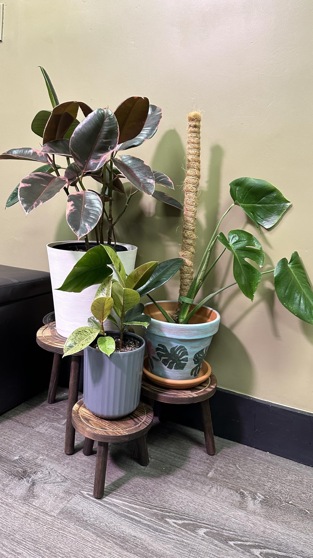 3-Pack Wood Plant Stands Indoor, Single Plant Stand for 6-12 Inch Pots, Mid-Century Modern Plant Stool, Tall Plant Stand for Large Plants Perfect Fit for Living Room, Balcony, Office customer photo 2