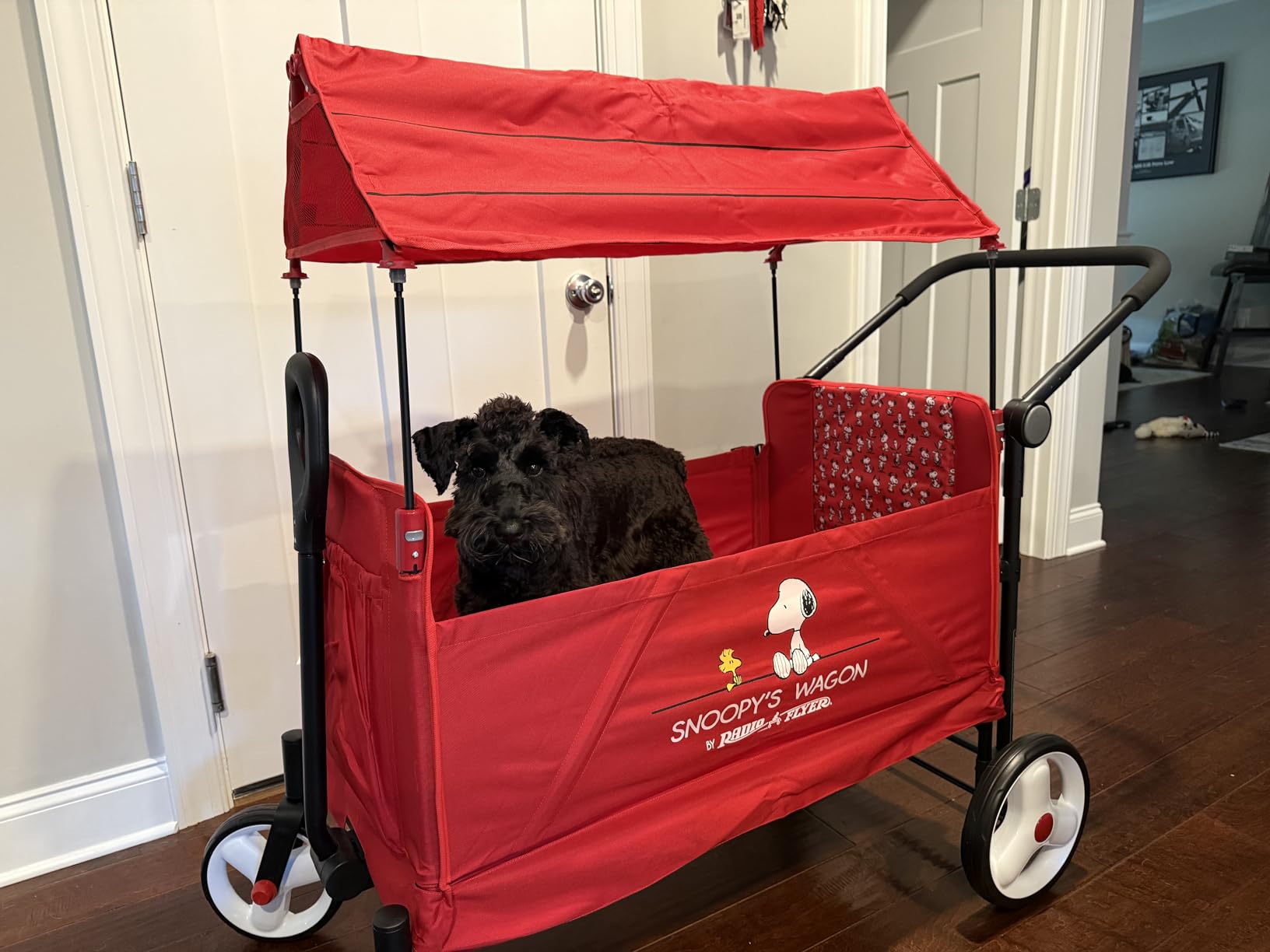 Peanuts Snoopy Folding Wagon, for Pets and Kids Ages 1+ | UV Doghouse Canopy, One-Hand Flat Fold, Seats 2, DuraClean Fabric, 120 lb Capacity, Snoopy Wagon for Kids & Pets customer photo 1