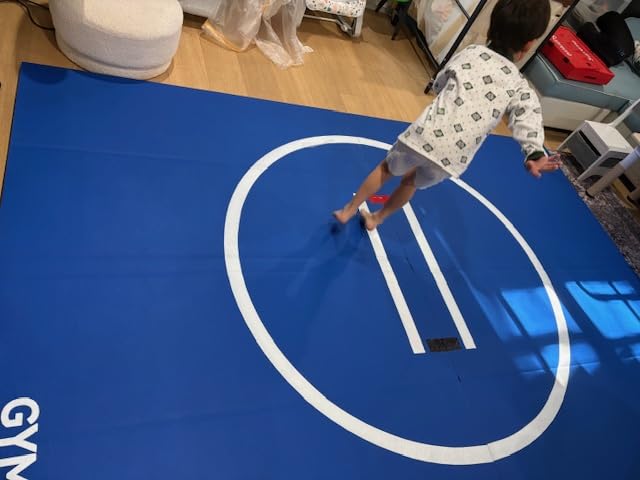 Wrestling Mat 10'x10'/8'x8'/6.6'x10' for Home Outdoor Indoor, 1.2