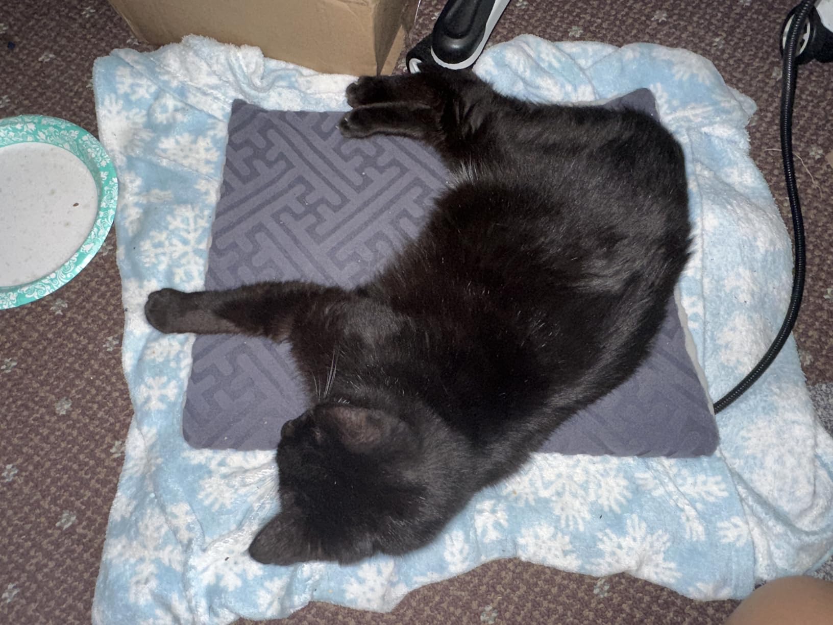 ZOMISIA Large Dog Heating Pad, Heated Dog Bed, 11 Temp & 25 Timer Settings customer photo 2