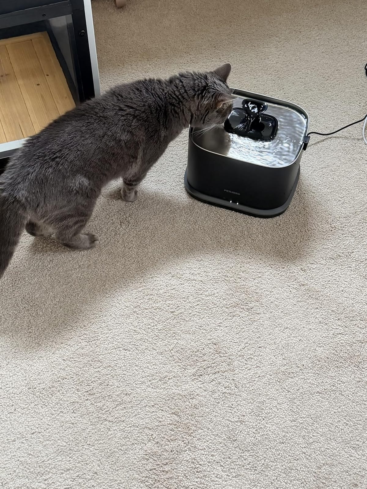 PETLIBRO Upgrade Cat Water Fountain Stainless Steel Tray, Dockstream 2 customer photo 1