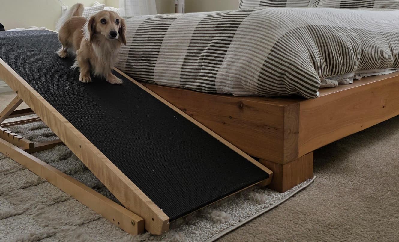 Dog Ramp for Bed with Safety Rails for High Beds up to 37