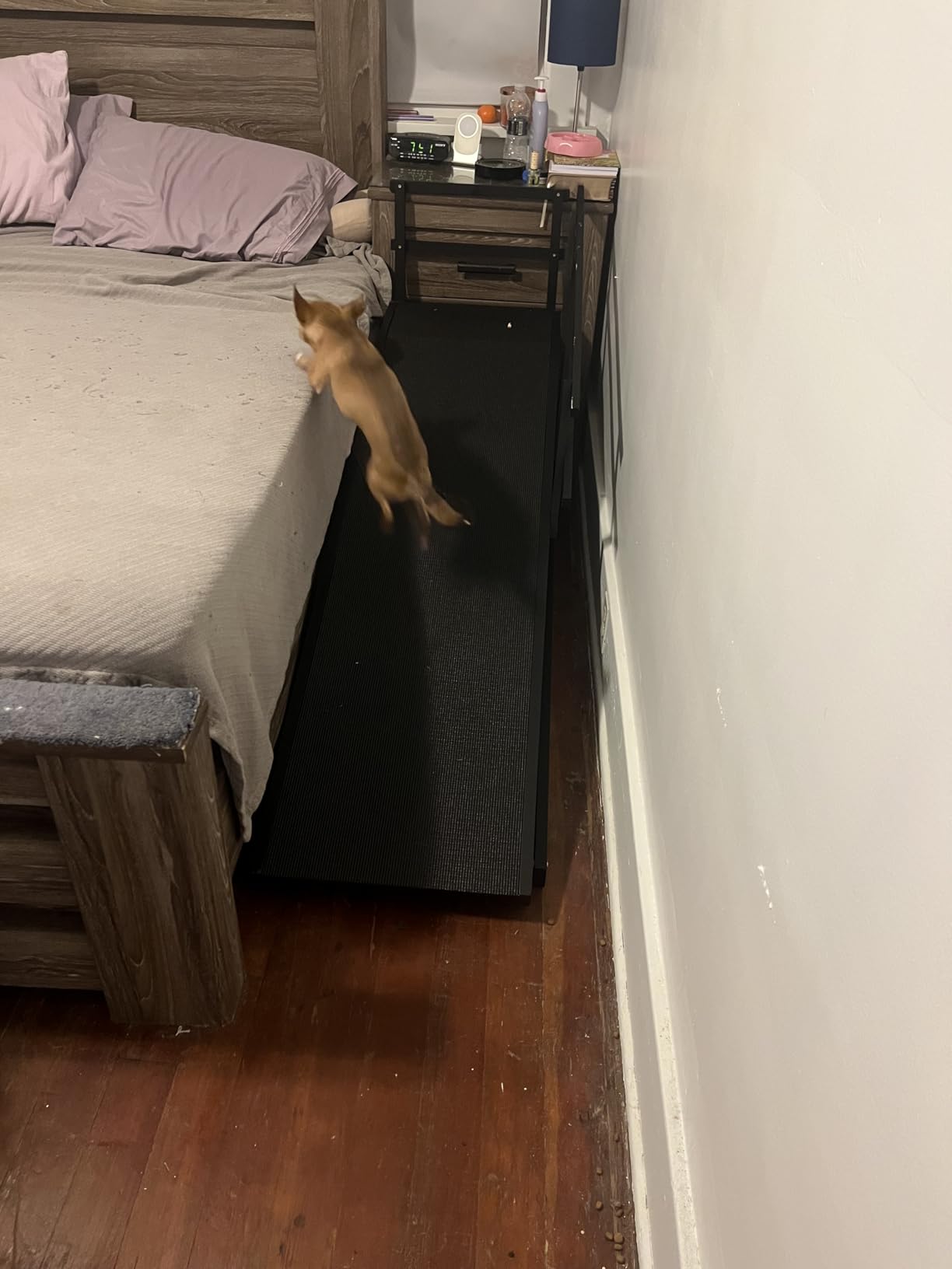 Dog Ramp for Bed with Safety Rails for High Beds up to 37