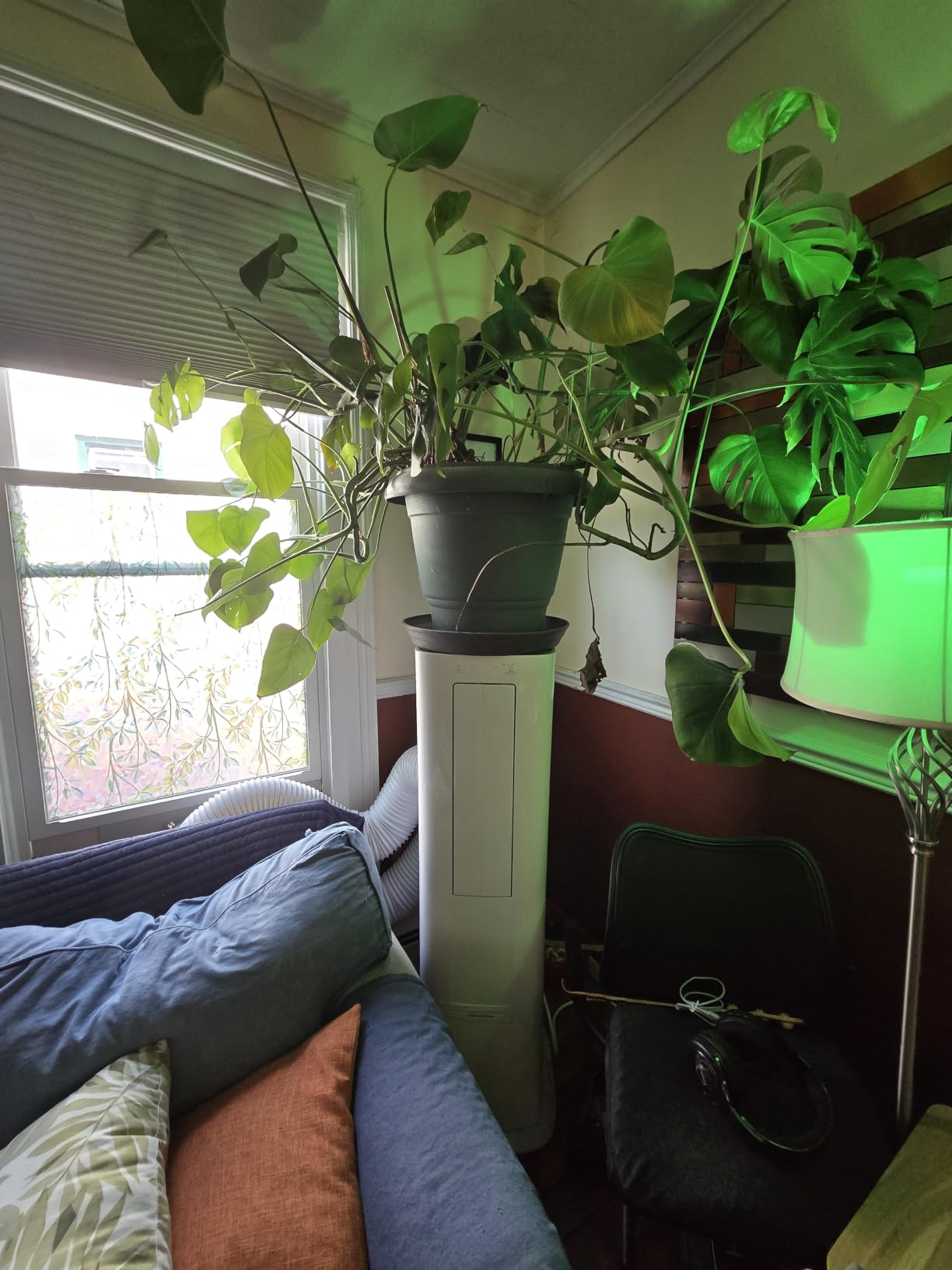 Hisense 8000 BTU 350 Sq. Ft. with Inverter Compressor, Dual Hose Portable Tower Air Conditioner HIAP0825TWD, up to 350 Sq Ft., Wi-Fi app control for Alexa/Google, Oscillating - HIAP0825TWD (Renewed) customer photo 1