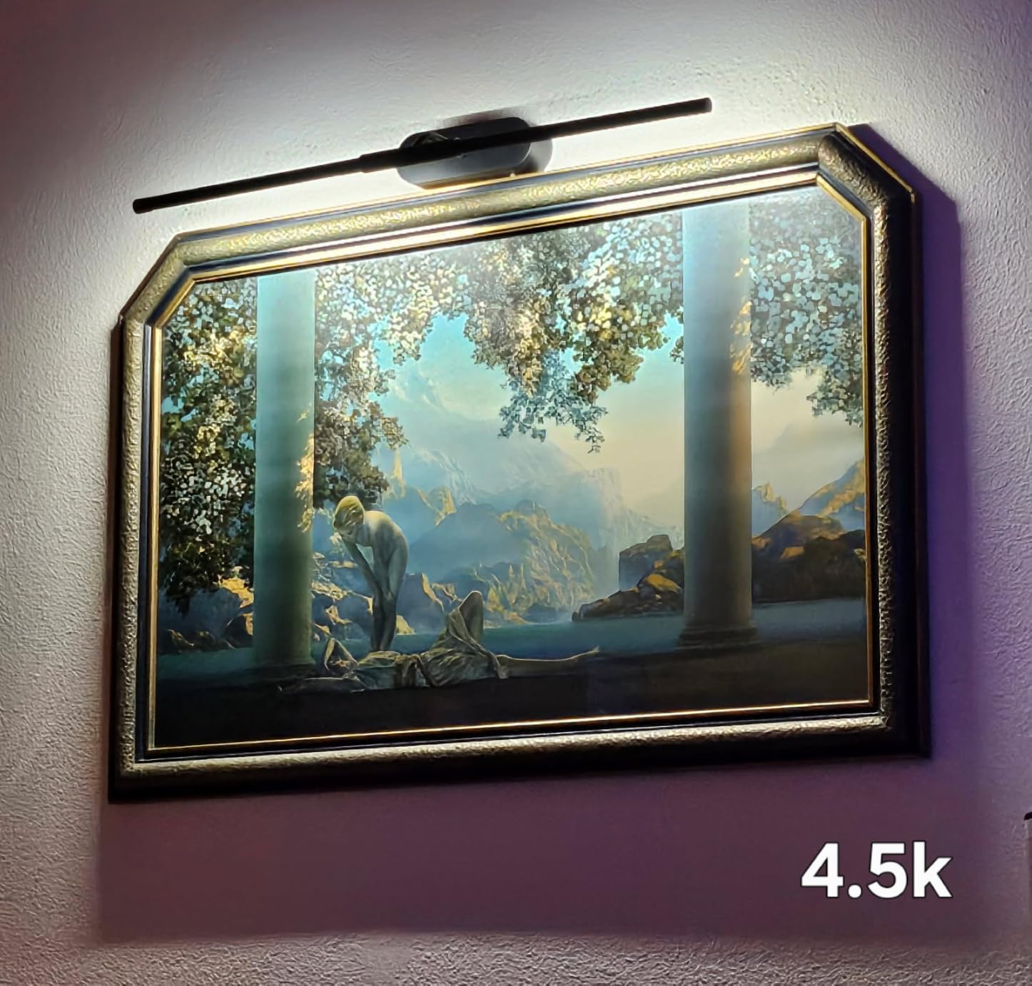 Glendan Picture Light for Wall, Professional Art Light for Museum & Gallery | 20°-35° Adjustable Beam Angle and Zoomable Aperture, 2700-6500K CRI95+, Flicker-Free, APP Smart Control, Hardwire Ready customer photo 1