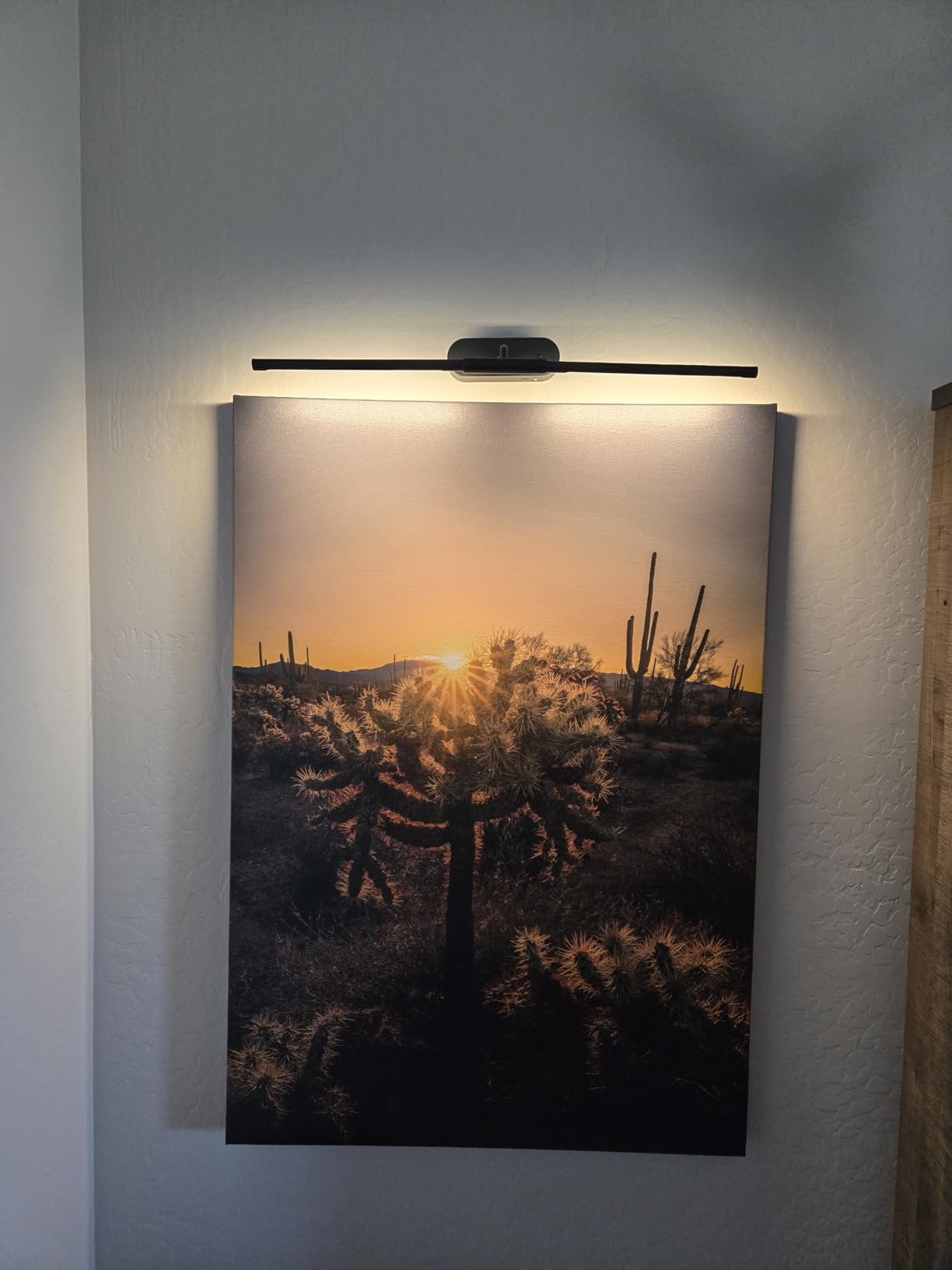 Glendan Picture Light for Wall, Professional Art Light for Museum & Gallery | 20°-35° Adjustable Beam Angle and Zoomable Aperture, 2700-6500K CRI95+, Flicker-Free, APP Smart Control, Hardwire Ready customer photo 2