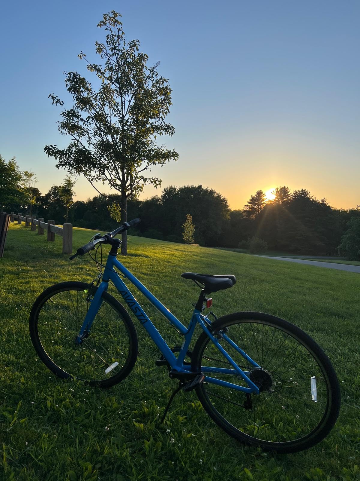 Populus 700C Road Bike for Women with Kickstand, 15 17 Inch Lightweight Step Through Aluminum Alloy Frame, 7-Speed Drivetrain, Multiple Colors customer photo 1
