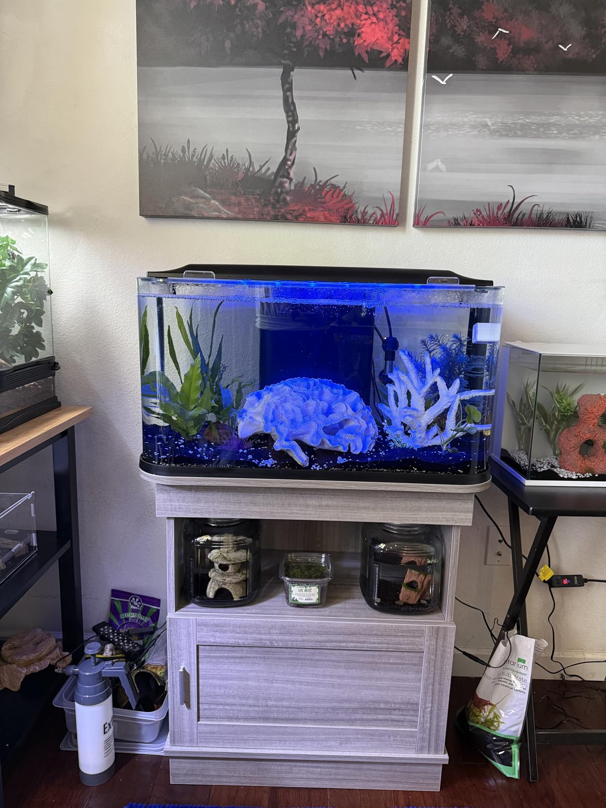 GloFish Glass Aquarium Kit, 20 Gallons, Includes Premium Blue, LED Light Stick & Integrated Filtration, Perfect for Beginners or Seasoned Hobbyists, Seamless, Curved Design customer photo 2