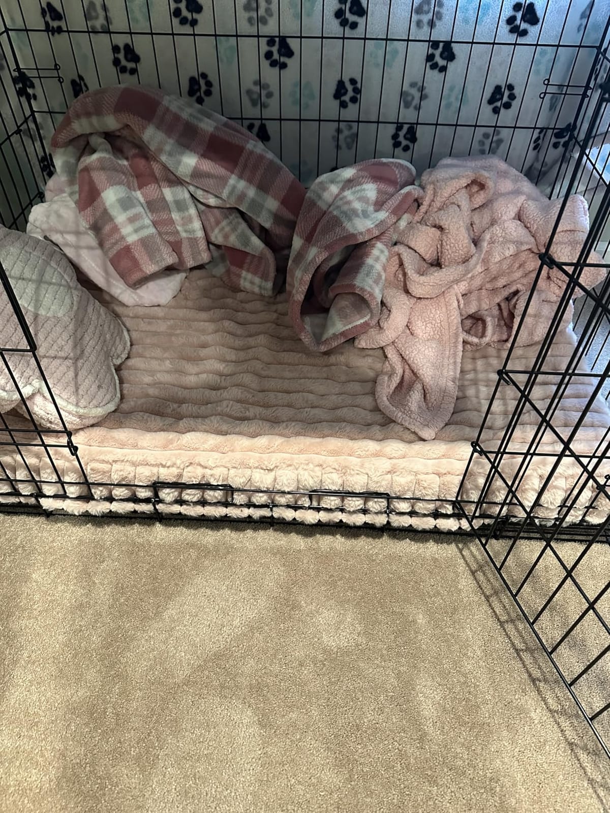Dog Beds for Large Sized Dog, Orthopedic Foam with Waterproof Lining | Egg crate foam for joint support. Soft plush surface. Non-slip bottom. Removable & machine washable cover. OEKO-TEX certified customer photo 1
