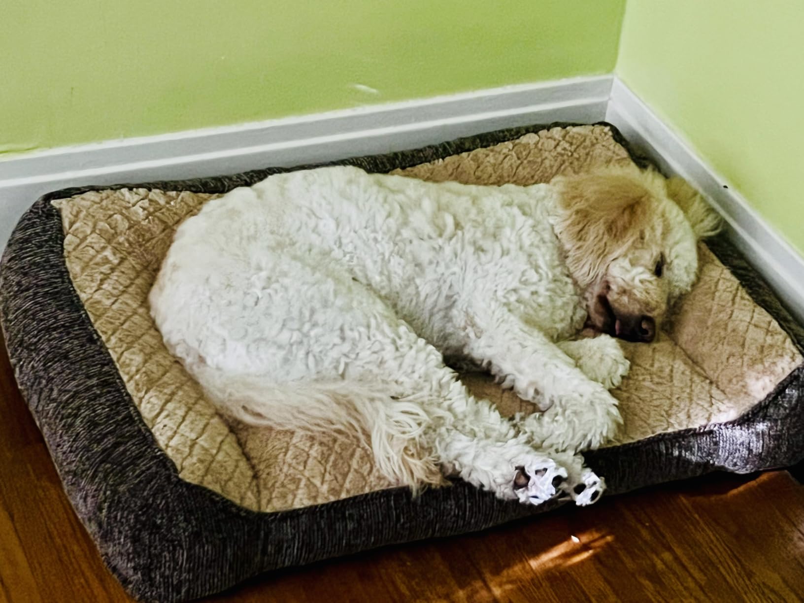 JOEJOY XL Orthopedic Dog Bed for Large Dogs, Extra Thick Foam Pet Bed Sofa | 42