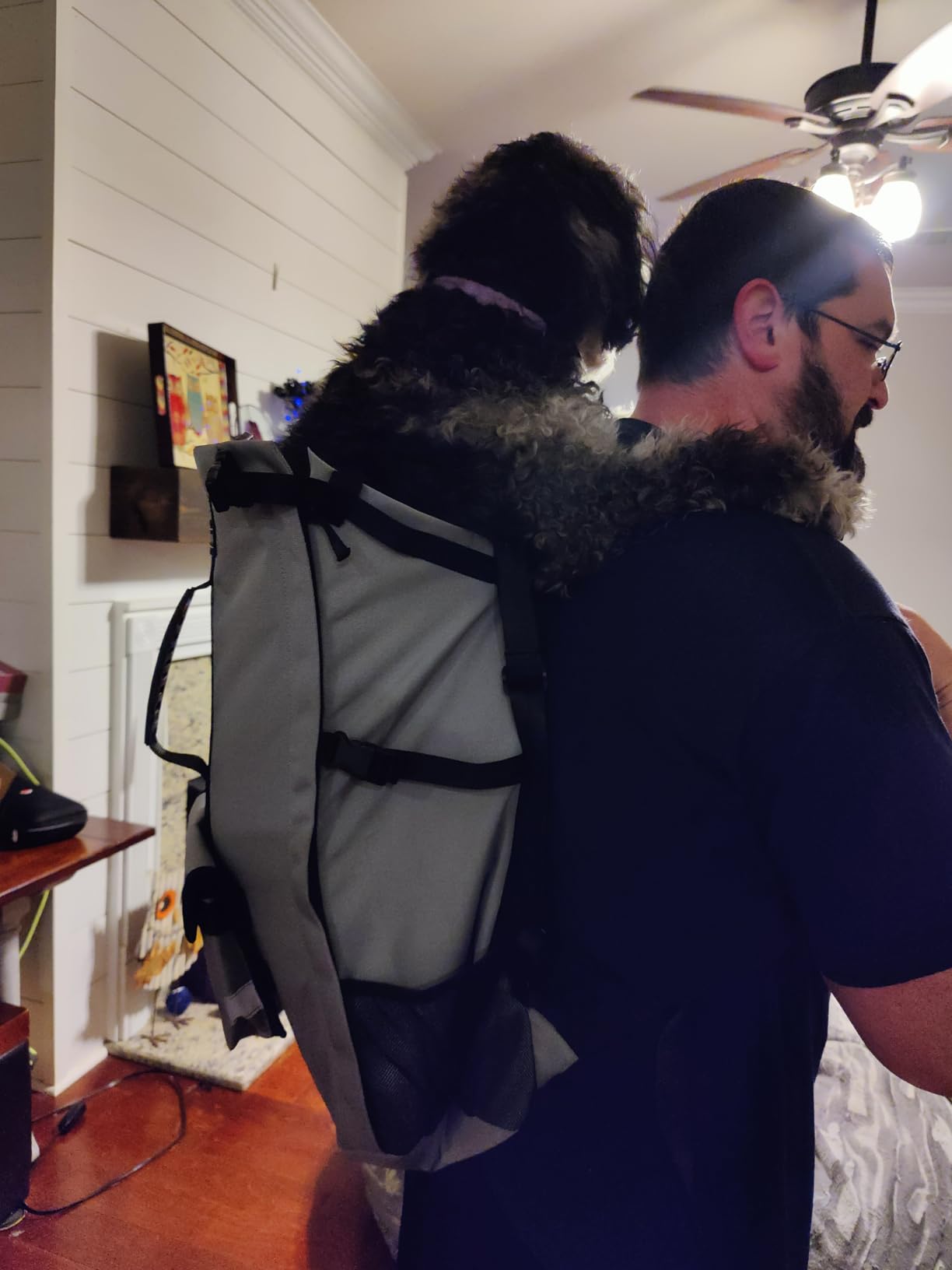 Waterproof Dog Backpack Carrier for Medium Dogs Under 30 lb, Grey | 4-Layer Protection, Adjustable Dog Hiking Backpack with Storage Pockets, Reflective Strips, Non-Slip Handle for Travel customer photo 2