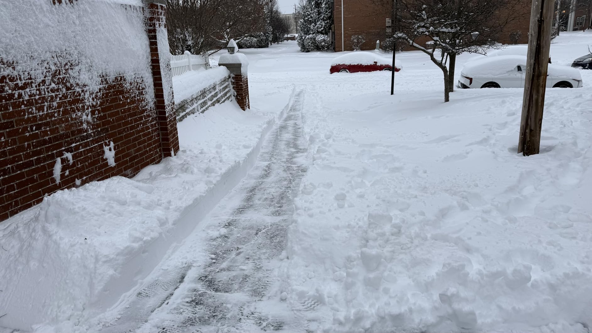 Snow Joe IONMAX 48V Cordless Electric Snow Blower Machine customer photo 2