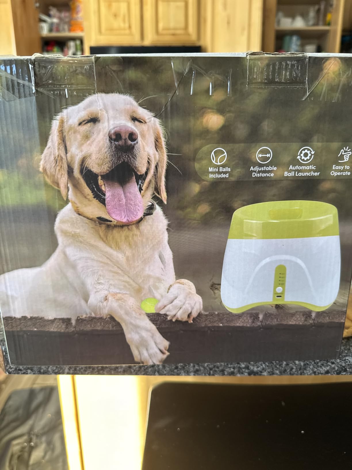 Automatic Ball Launcher for Dogs: 40-80FT Thrower Fetch Machine | Remote Control | 3 Distance Settings | 8 2.5