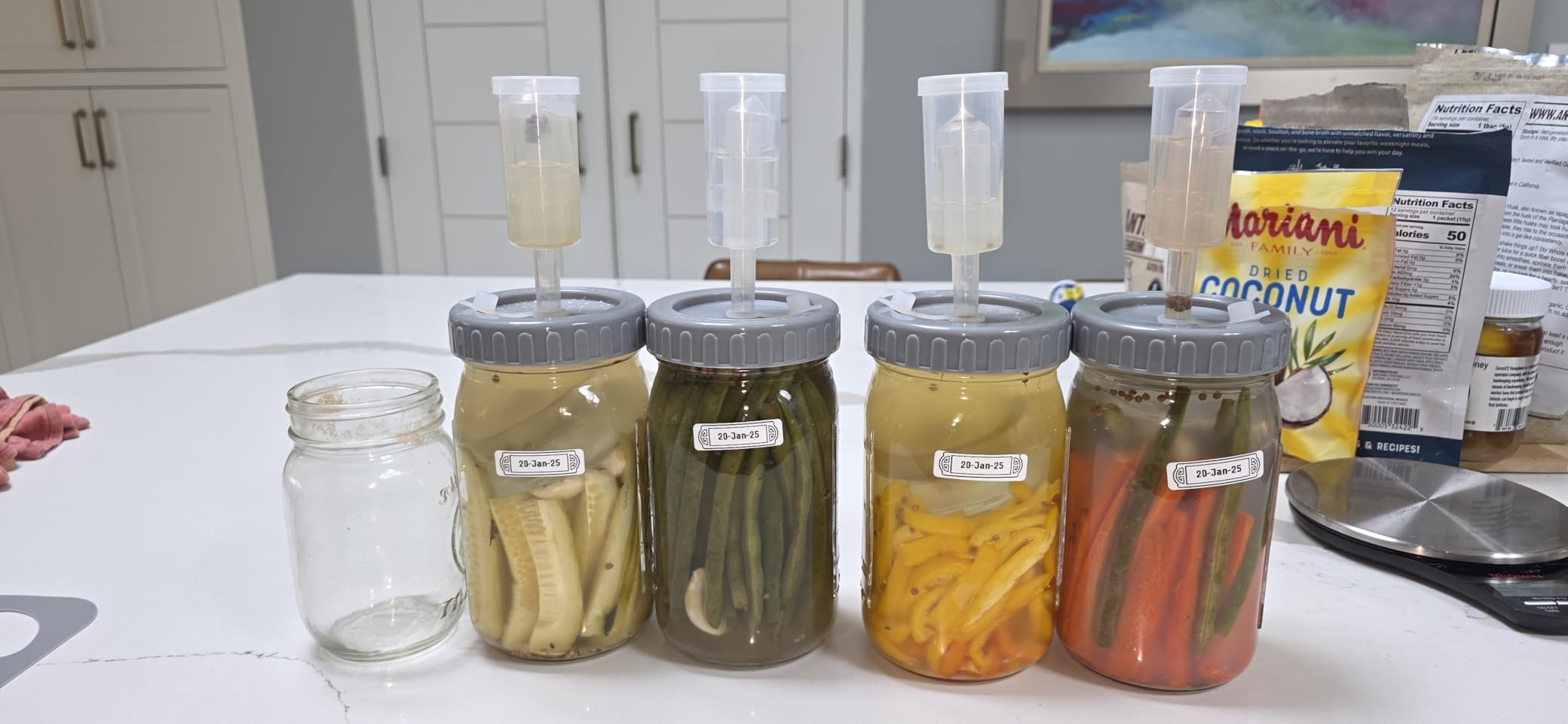 4-Pack Mason Jar Fermentation Kit With Four 32 Oz Jars And Plastic Lids | Complete Kit With Airlocks, Silicone Rings, Grommets, And Glass Weights For Simple Fermenting, Ideal For Beginners. customer photo 2