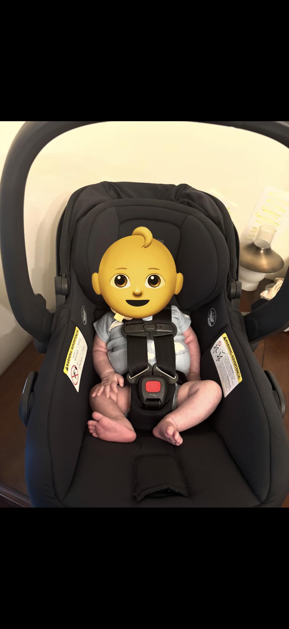 UPPAbaby Mesa V3 Infant Car Seat - Easy Installation + SmartSecure Technology - Attaches to Stroller | Base + Infant Insert Included - Evelyn (Meadow Green) customer photo 1