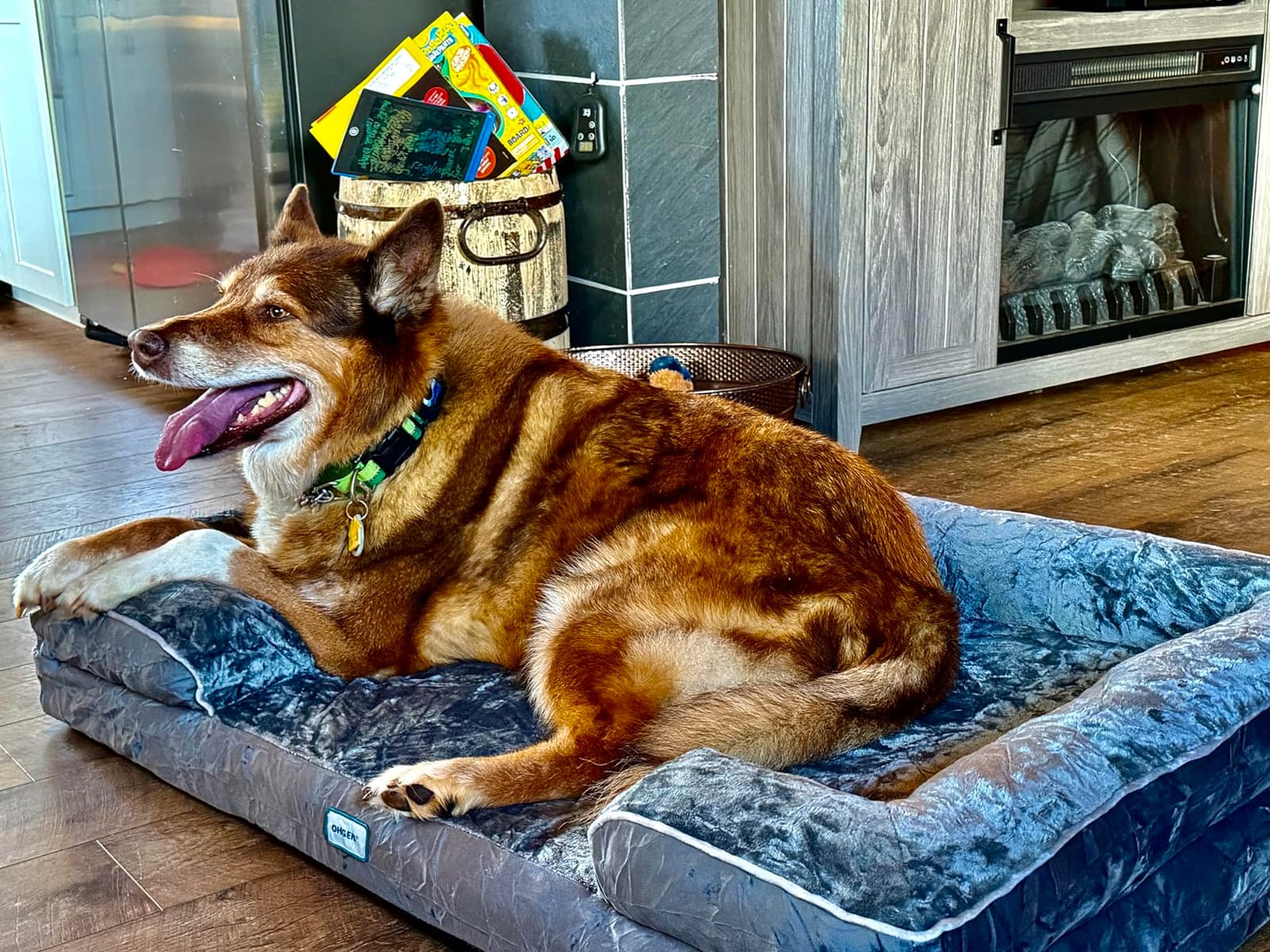 OhGeni Orthopedic Extra Large Dog Bed Couch, Memory Foam, 44-inch (Gray) | Waterproof Pet Bed with Machine-Washable Removable Cover & Soft Comfortable Fabric customer photo 1