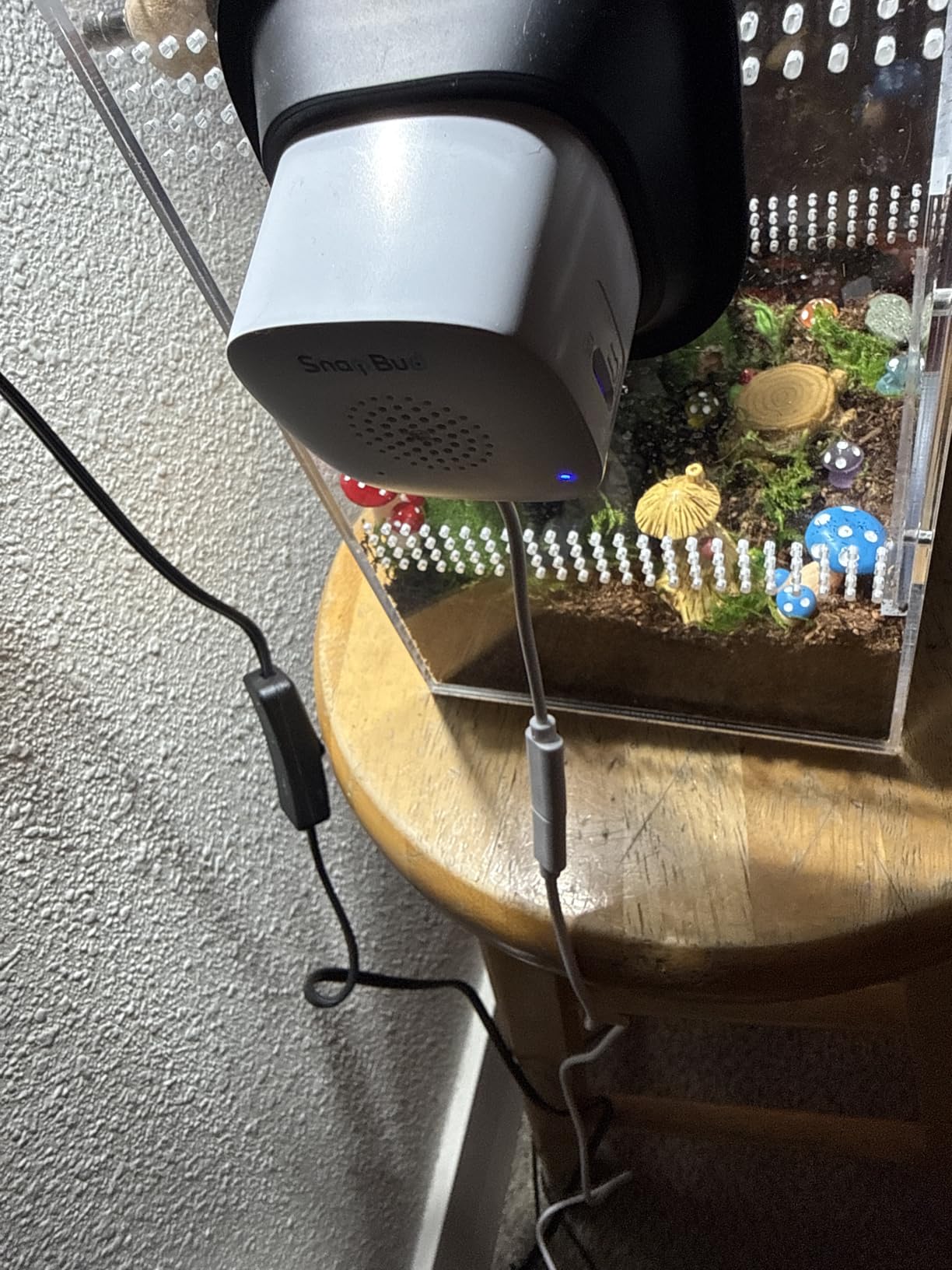 3MP 2K AI Reptile Aquarium Camera, Close-Focus Lens for Fish Tank Terrarium | Angle Magnetic Mount, Dual-Band Wi-Fi 2.4 GHz/5 GHz, 24/7 Recording, Anti-Glare and No Reflection, for Lizards and Snakes customer photo 1