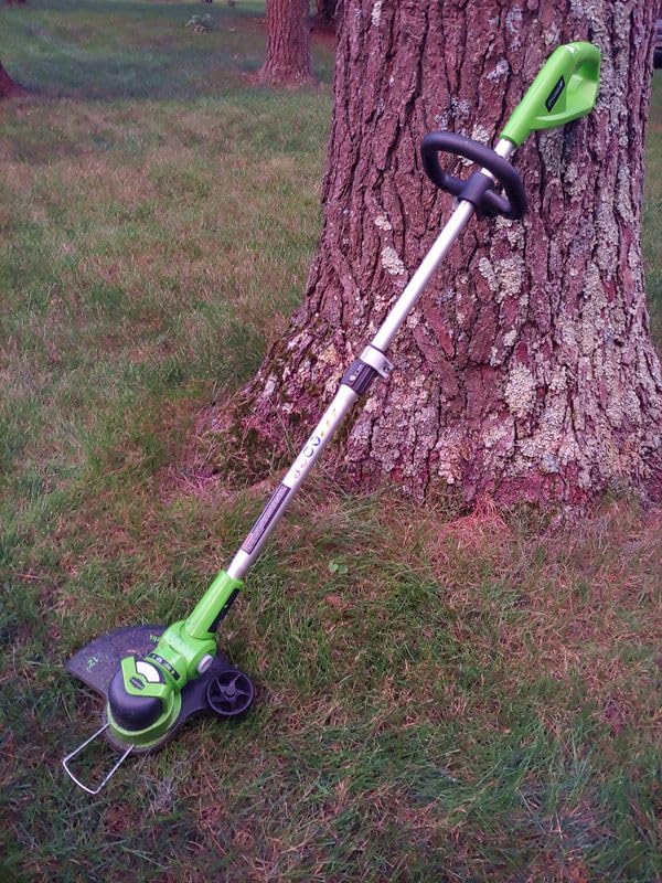 Greenworks 24V 12 in String Trimmer, 10 Blades, 3.0 Ah Battery customer photo 2
