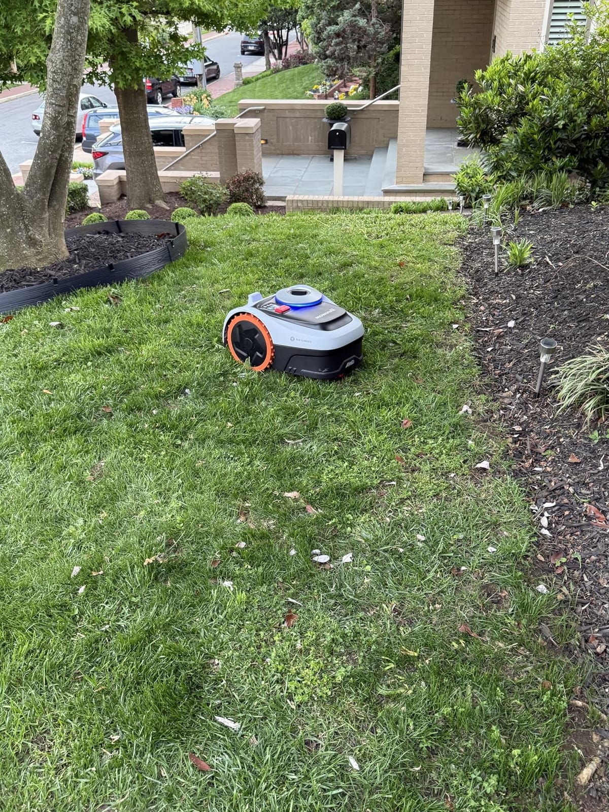 Segway Navimow i206 AWD Robot Lawn Mower, New i105N, 0.15 Acre, 45% Slopes | Perimeter Wire-Free Setup, NRTK-Vision Auto Mapping, Zero-Turn Steering, 2-3.6-Inch Cutting Height, 20-Zone App Control customer photo 2