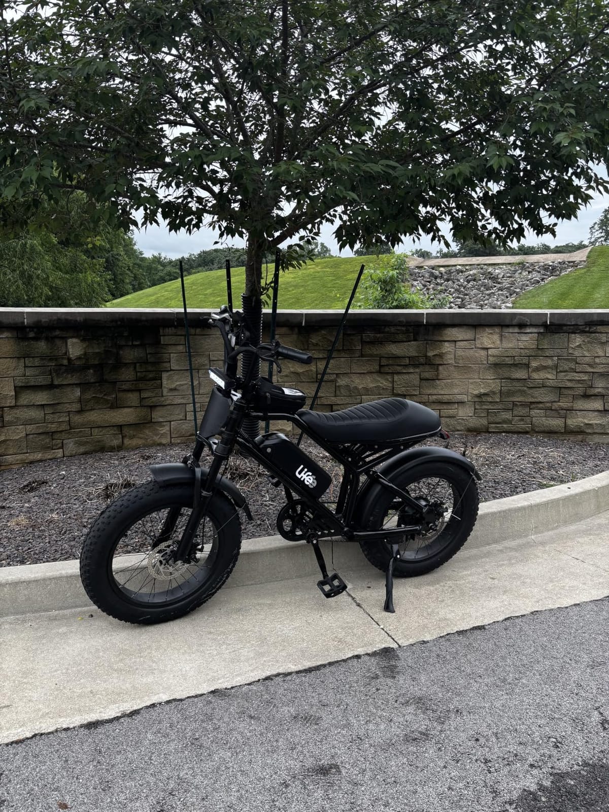 Qlife Spark/Spark Plus Electric Bike for Adults & Teens, 1800W/2000W Peak Motor 20