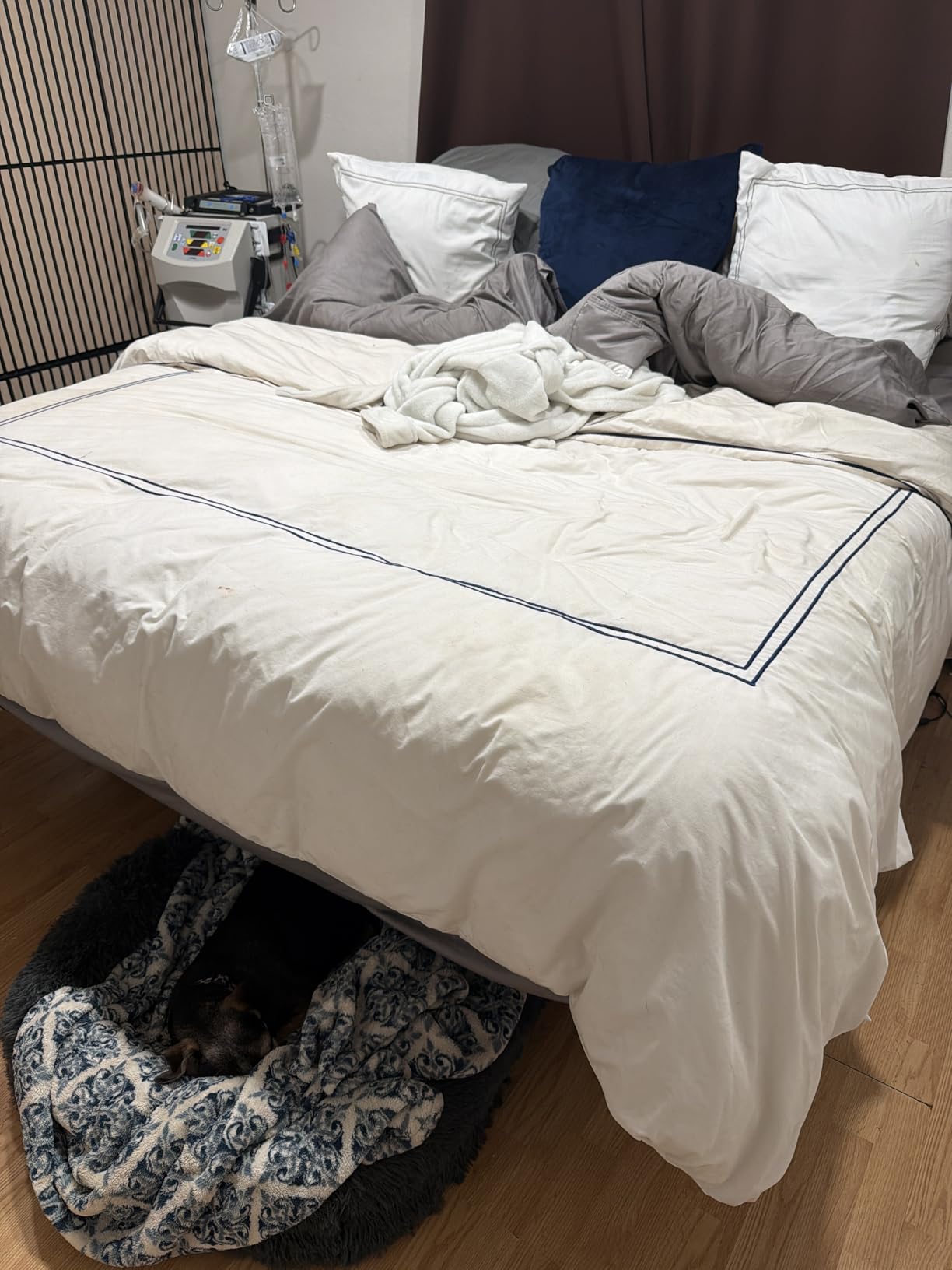 DOWNCOOL Feather Down Fiber Comforter Queen Size, 100% Cotton White 90