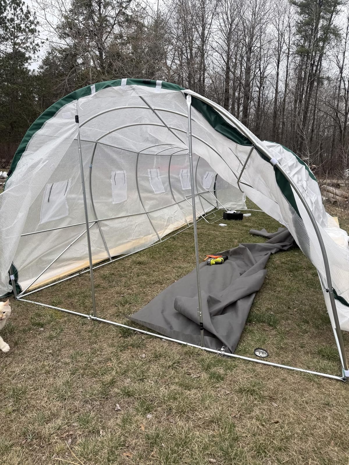 Quictent 25x10x6.6 FT Premium Greenhouse for Outdoors with 2 Door Frames | Reinforced Top Structure & Cover, Large Heavy Duty Walk-in Tunnel Hoop Green House for Garden Backyard Flower Winter, White customer photo 2