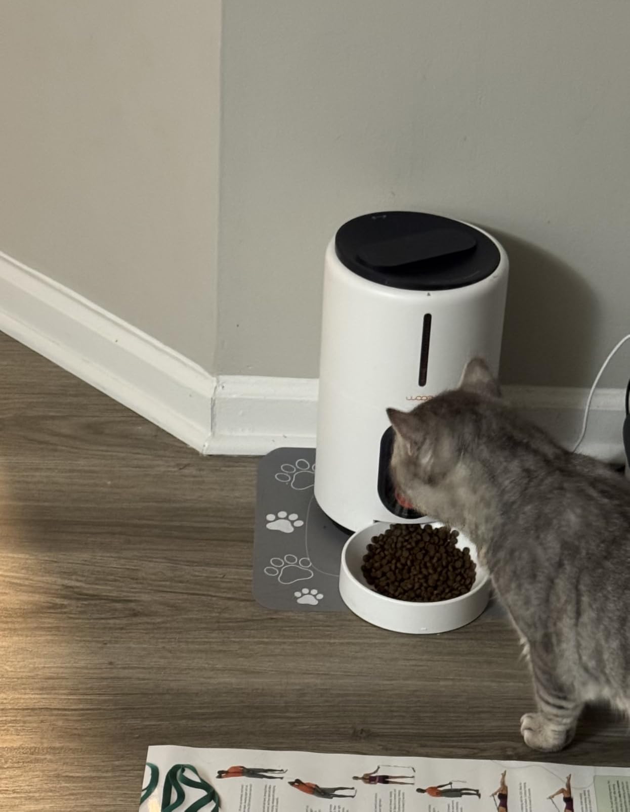 Automatic Dog Feeder with Camera, 1080P HD Video with Night Vision, 5GHz/2.4GHz Dog Food Dispenser with App Control, 4GB SD Card, 2-Way Audio for Cats & Dogs customer photo 2