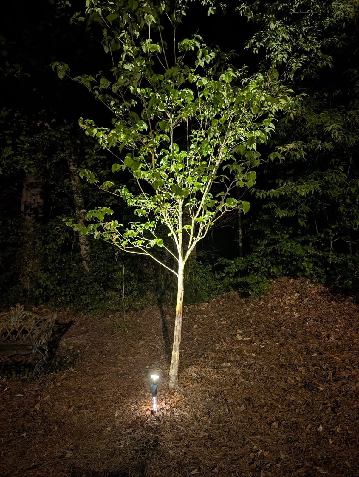 Solar Spot Lights Outdoor Waterproof Spotlights, Warm White 4 Pack | Solar Lights Outdoor for Yard Pathway Tree House Outside Landscape Lighting, Auto On/Off, Adjustable Angle, Illuminated Pole customer photo 2