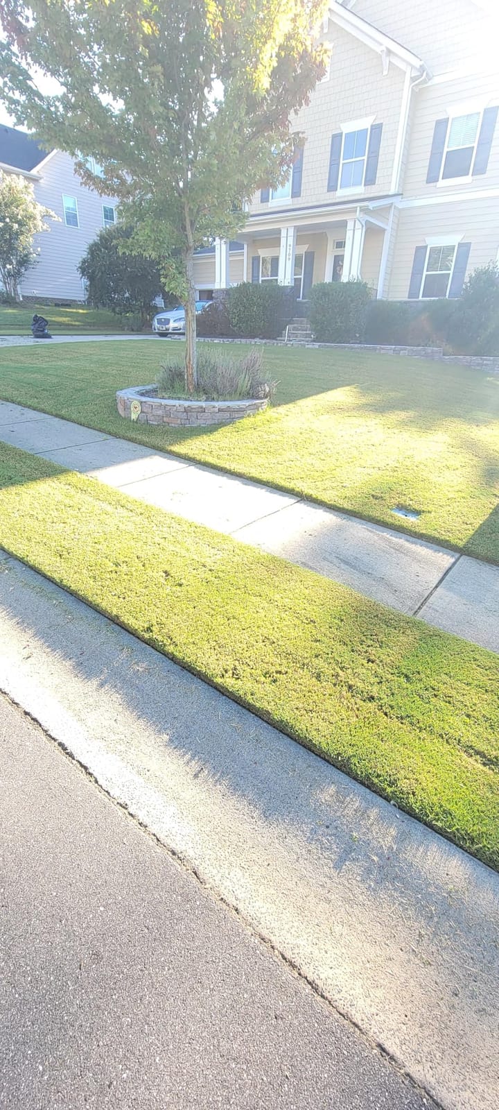 Litheli 18-inch 40V Brushless Lawn Mower for Garden Yards, Lightweight Cordless Lawn Mower Battery Powered with 6-Position Height Adjustment, 2x5.0Ah Battery Included customer photo 2