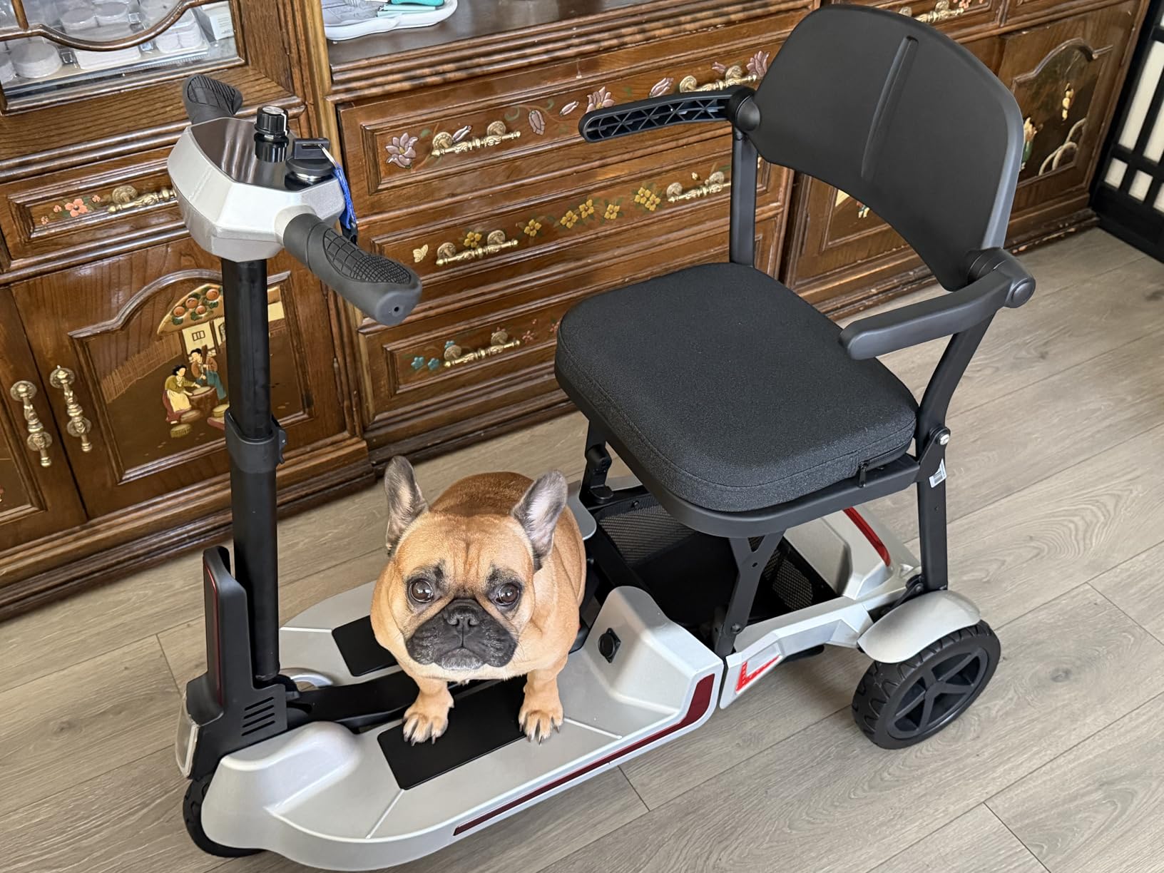 3 Wheel Folding Lightweight Mobility Scooter for Seniors & Adults, M3 Black | Airline-friendly dual 8Ah batteries, up to 20 miles, 30 lb frame, 33 in turning radius, folds for tight halls, stores, cars customer photo 1