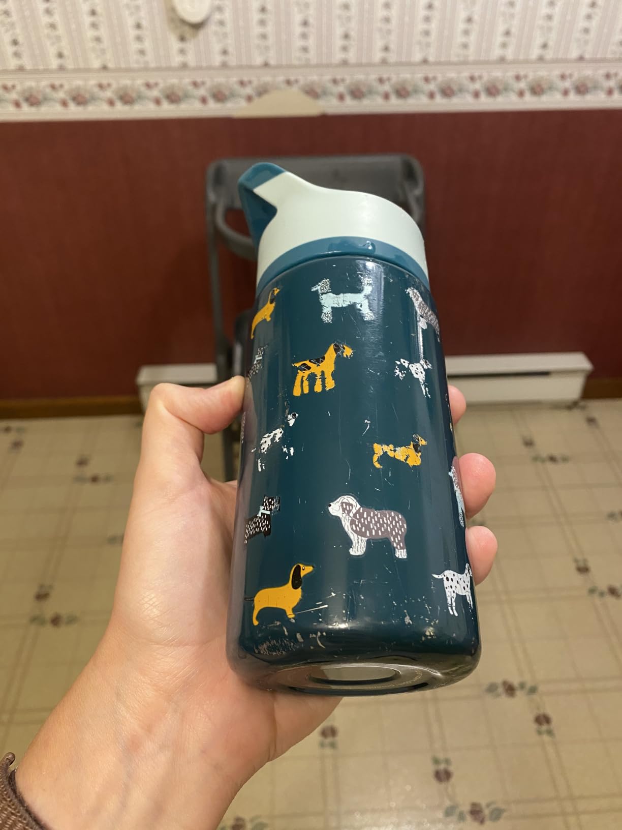 Simple Modern Kids Water Bottle & Toddler Cup | 14oz | Dinosaur | Insulated Stainless Steel Toddler Water Bottle, Kids Tumbler with Straw | Spill Proof for School, Girls, Boys | Dino World customer photo 1