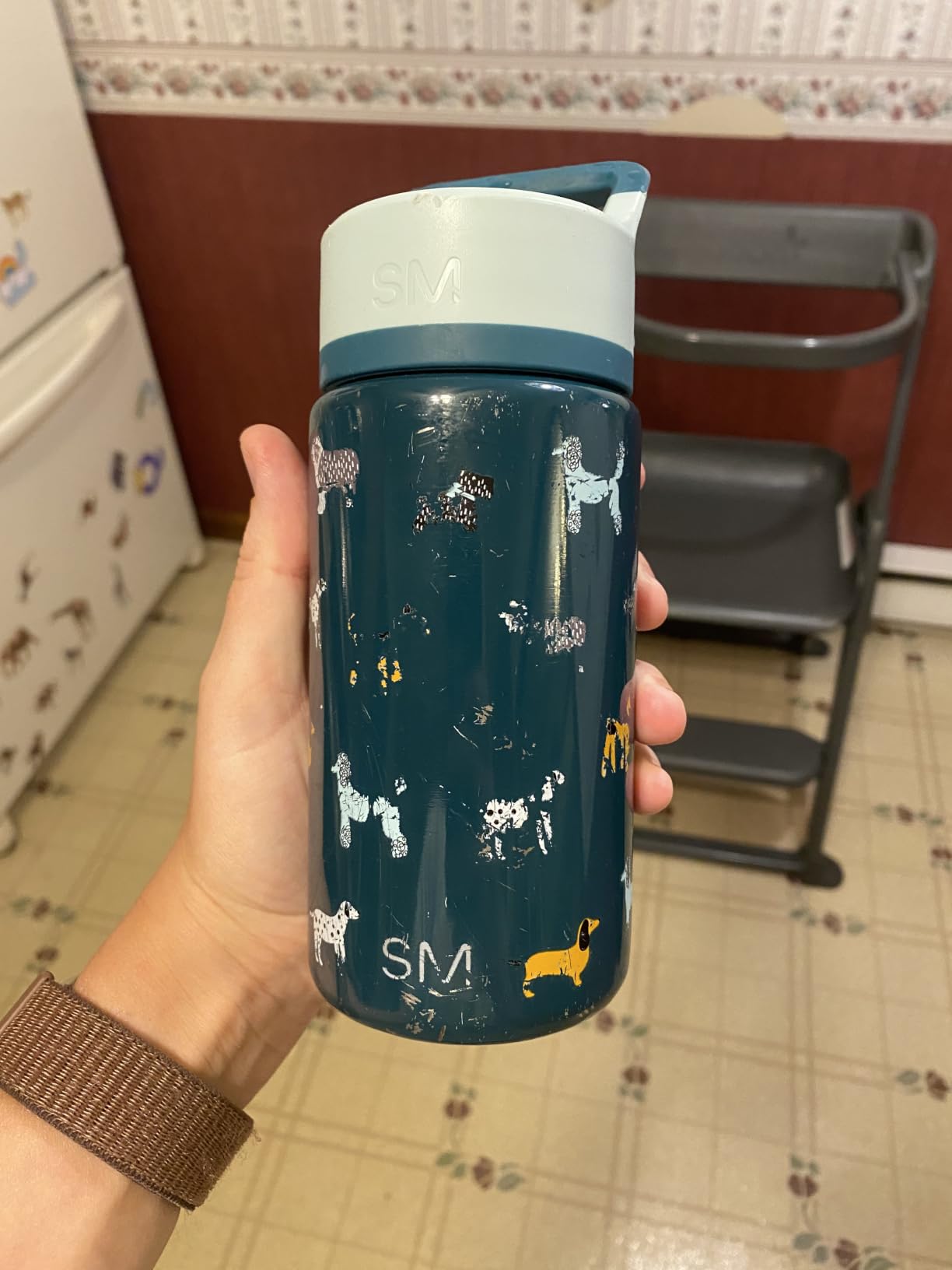 Simple Modern Kids Water Bottle & Toddler Cup | 14oz | Dinosaur | Insulated Stainless Steel Toddler Water Bottle, Kids Tumbler with Straw | Spill Proof for School, Girls, Boys | Dino World customer photo 2