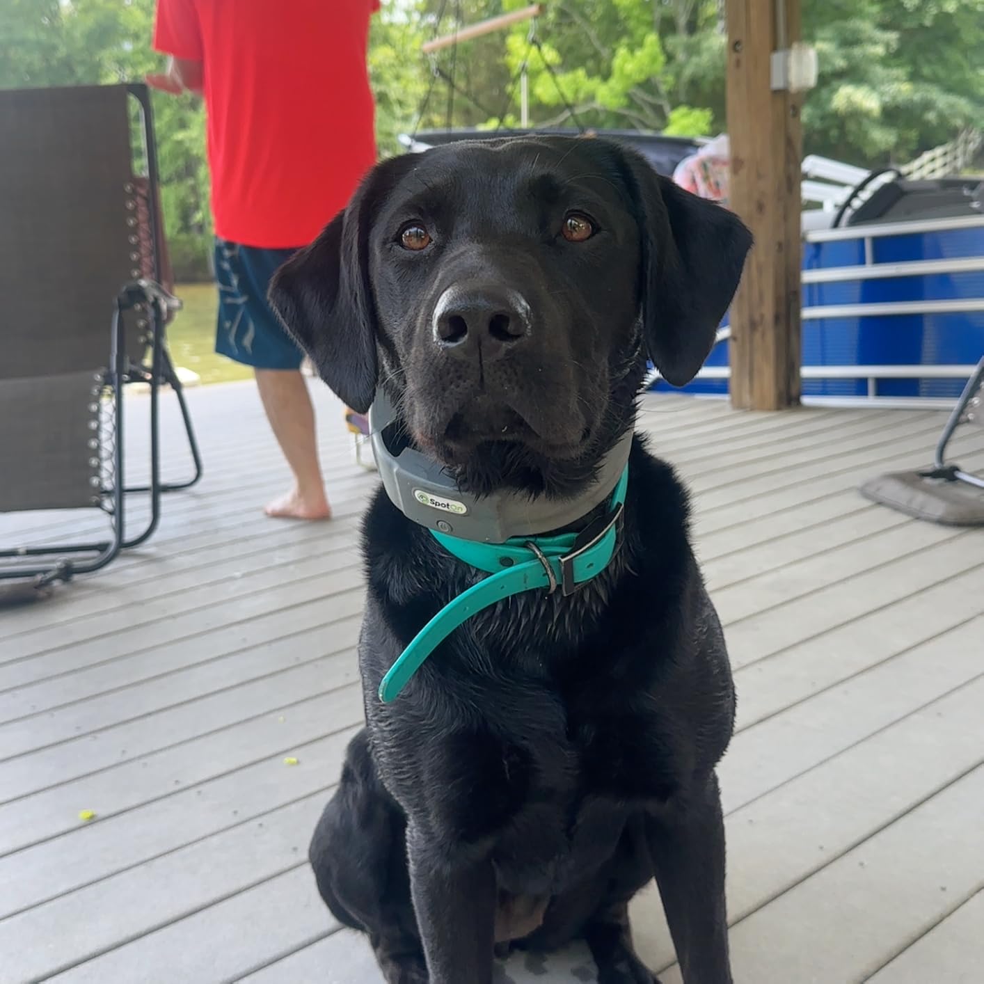 SpotOn Nova GPS Dog Fence Collar, App-Controlled Wireless Fence customer photo 2