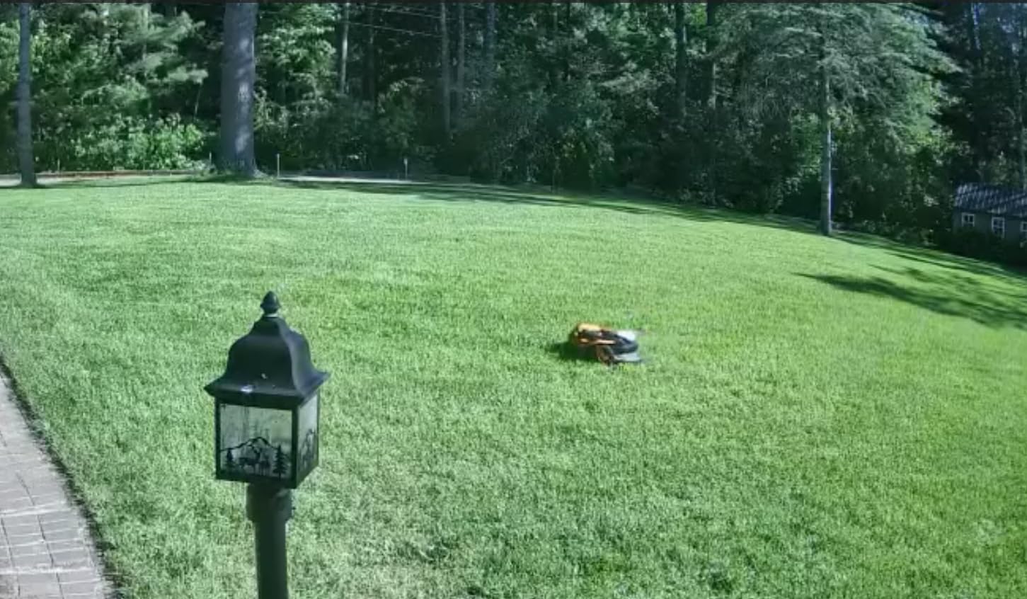 WORX Landroid Vision Cloud Robot Lawn Mower, No Perimeter Wire Robot Mower for 1/4 Acre, AI Obstacle Avoidance and RTK Cloud Navigation, 30% Slope, Auto Mapping, App Control, WR310 customer photo 1