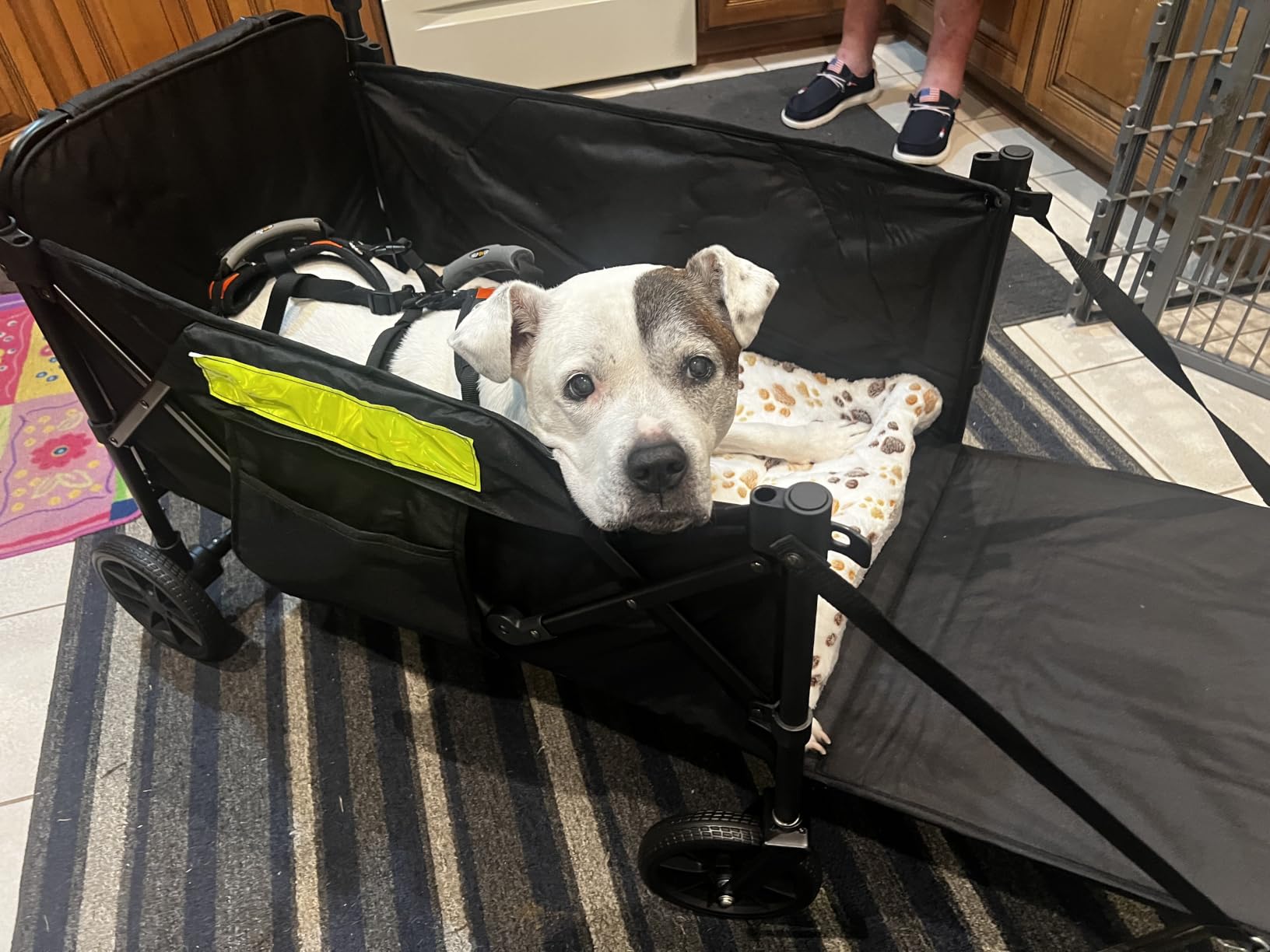 Dog Wagons for Large Senior Dogs with Thick Mat & Lift Harness, Dual-Entry | Foldable & Extendable Elderly Dog Stroller, Heavy Duty Dog Cart Up to 140lbs, Front and Rear Access No-turnaround Needed customer photo 2