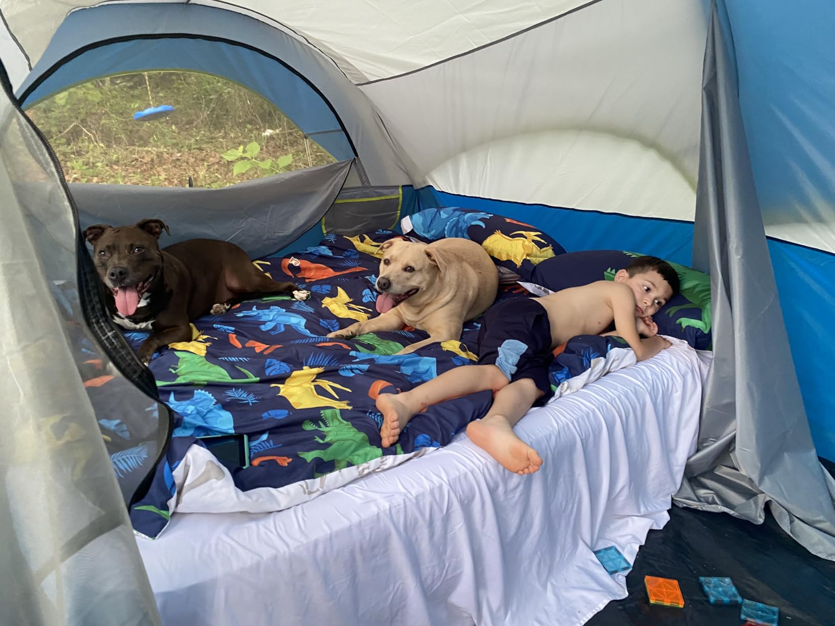OLIXIS Camping Tent 2 Person, Tent for Camping, Fast Setup, Compact Carry | 2 Person Tent for Camping Backpacking Hiking, Waterproof Windproof Dome Tent with Multi-Directional Ventilation customer photo 1